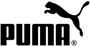 Trainingsbälle von Puma