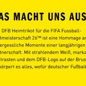 WM Deutschland-Trikot Senior – Bild 3